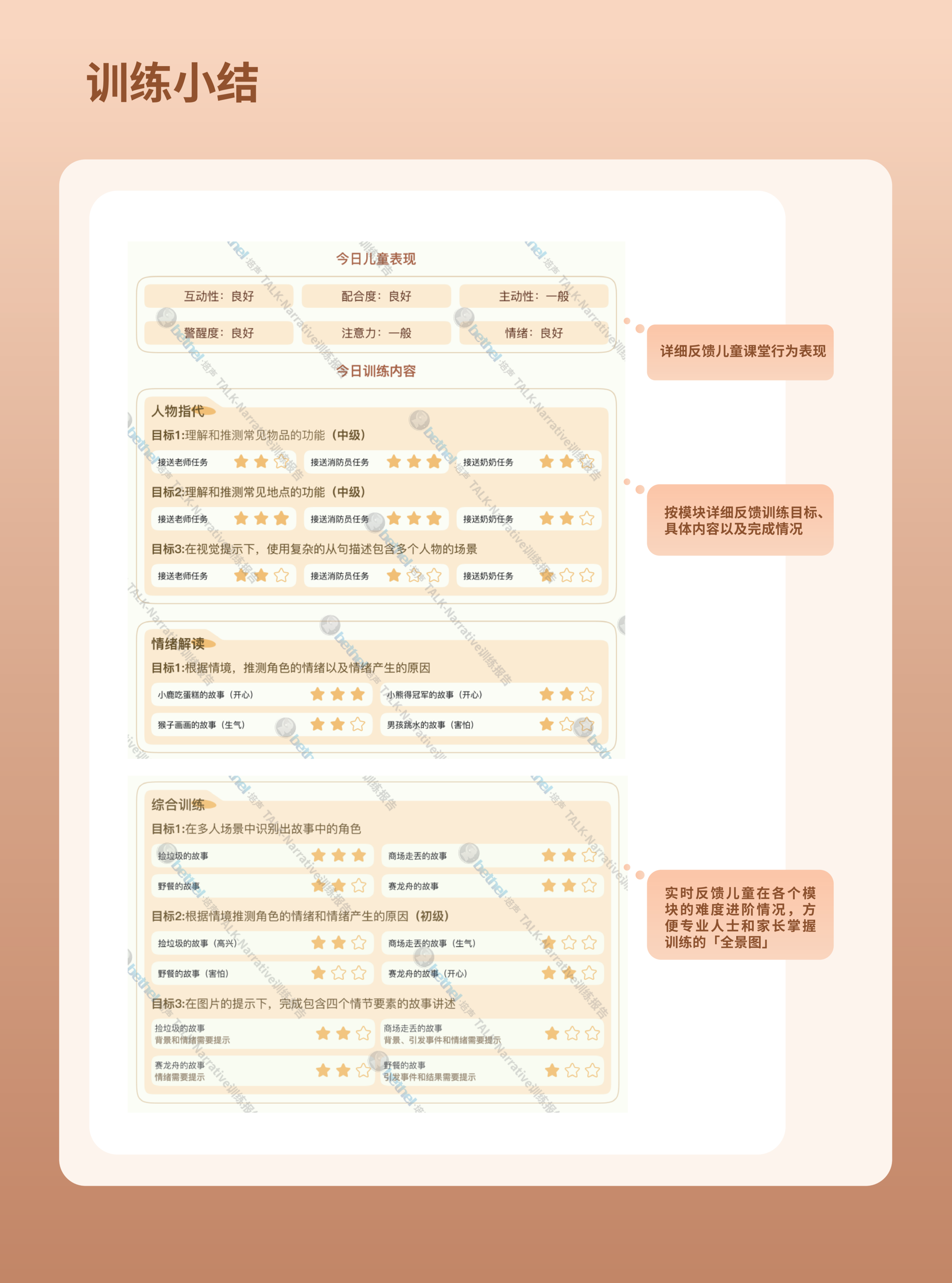 DREAM-S Assessment Report - Pass