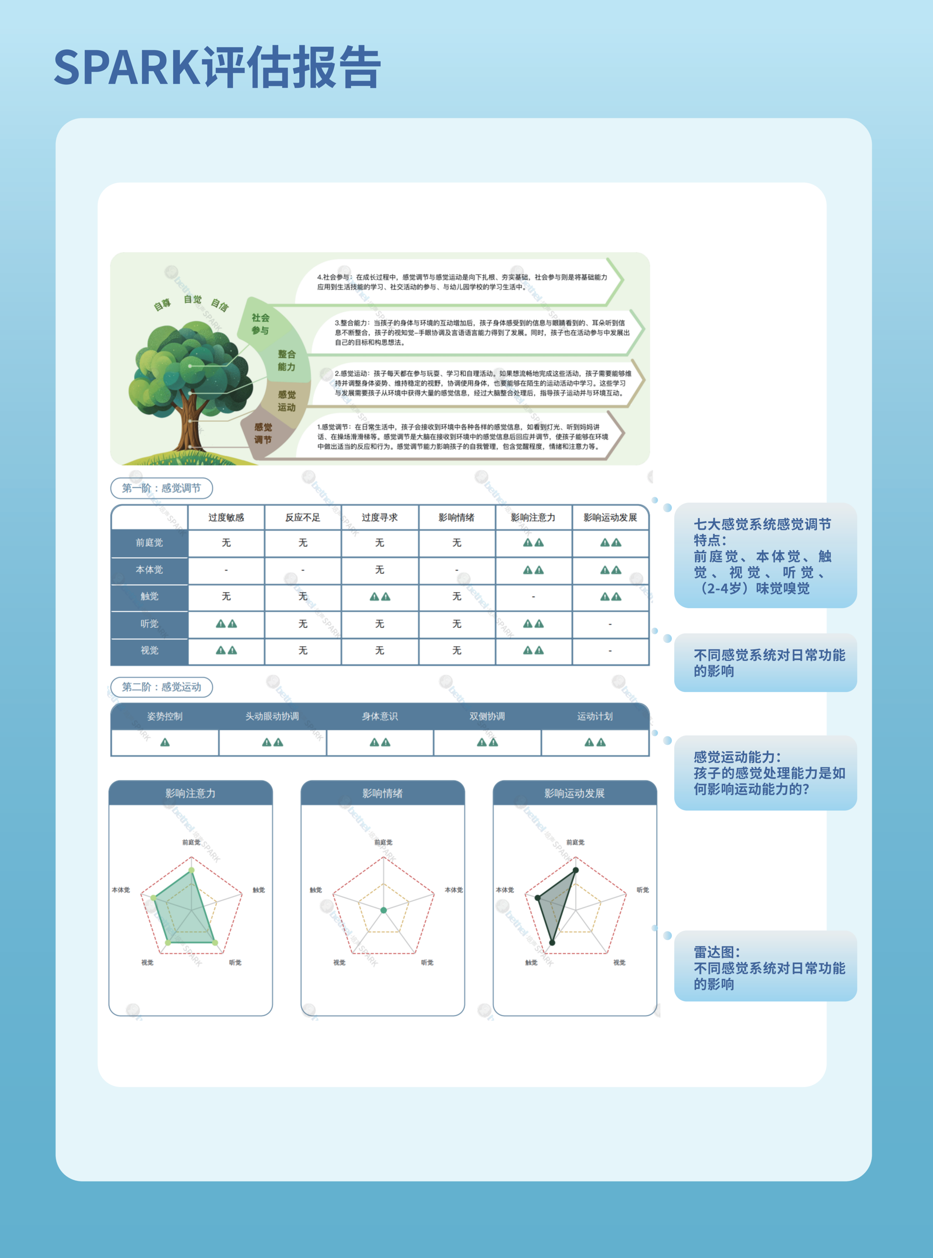 DREAM-S Assessment Report - Pass